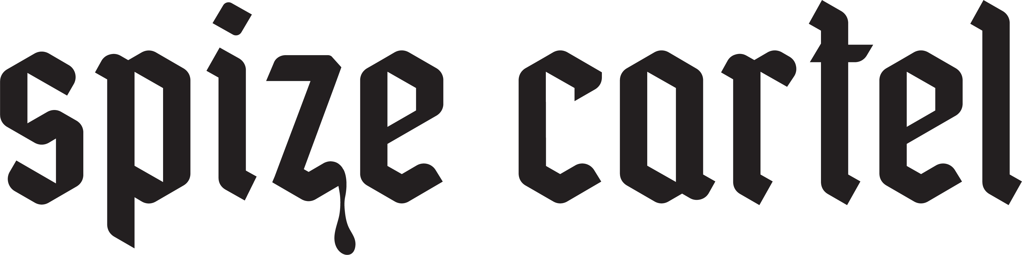 Spize Cartel Private Limited