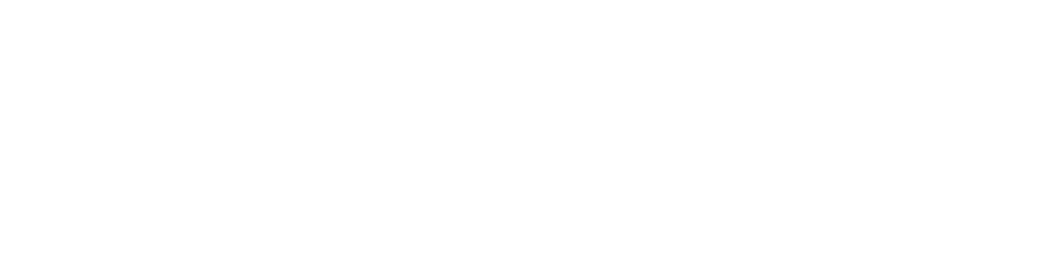 Spize Cartel Private Limited